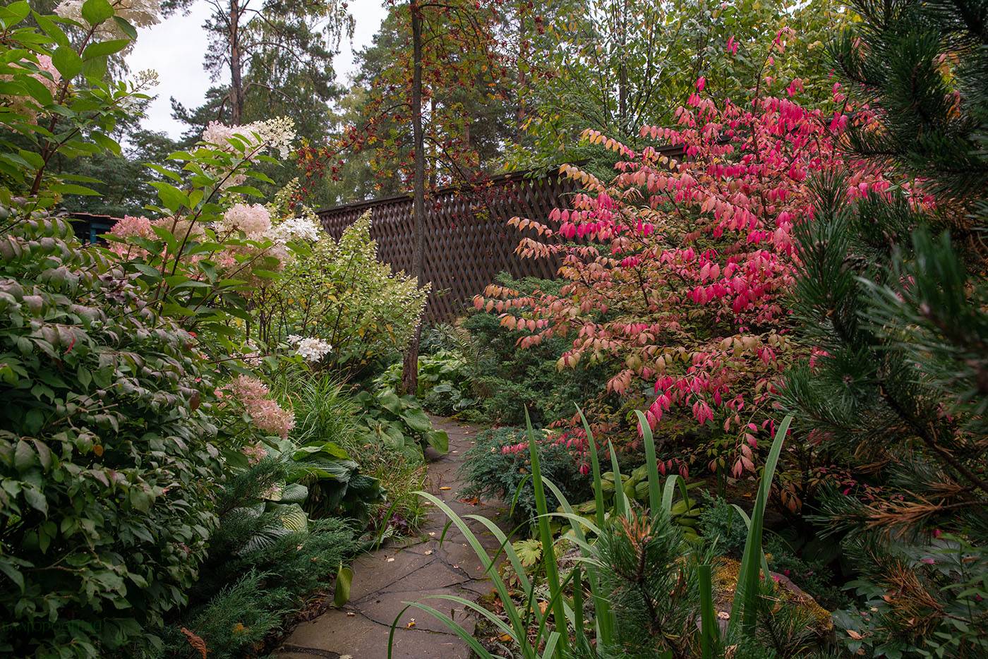 Проект Переделкино